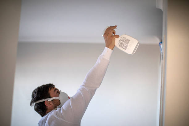 Best Certified Mold Removal  in Clarksville, TN